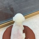 몽시떼루 이미지
