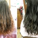 시너지 짐 이미지