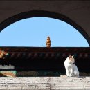 호텔비자비 이미지