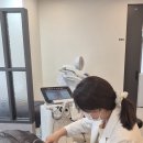 우리피부과의원 이미지