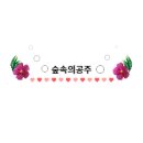 리틀플로라