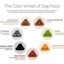 아포동물약국 이미지