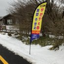 주정차금지 지정 이미지