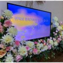 펫바라기 이미지