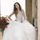 에이메드 이미지