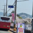 여좌천로 이미지