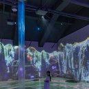 제주도 서귀포 놀거리 제주 여름여행 실내 가볼만한곳, 워터월드 이미지