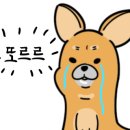 늘도민박펜션 이미지