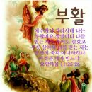 동천로99번길 네이버블로그