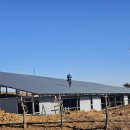 대신 태양광발전소 이미지
