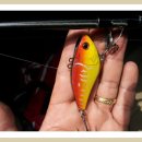 씨알인터내셔널 이미지