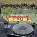 카스오디오 | 제주LP청음카페 프라이빗 청음 솔직후기ㅣ아날로그사운즈