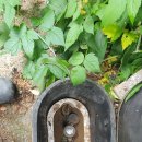 상비 마을회관 이미지