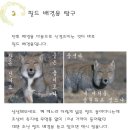 본격 BGM 바꿔 보는 글 (약간의 로딩 주의) 이미지