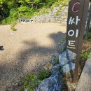 송하루 오토캠핑장 | 구미캠핑장 송하루캠핑장 C사이트 후기