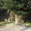 영천동 동상효농협 이미지