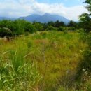 안금경로당 이미지