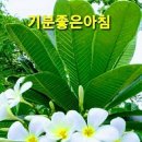 둥글개 둥글개 이미지