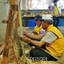 품바라이브7080