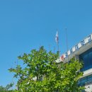 충북대학교 평생교육원 정원에 그동안 봄이면 심어온 배롱나무,산수유, 불두화,자귀나무, 모감주나무,미선나무가 잘 자라고 있습니다. 이미지