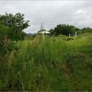 세동2통경로당 이미지