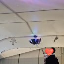 바니베어뮤지엄 | 경주 바니베어뮤지엄 | 14개월 아기와 방문 후기