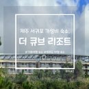 더큐브하우스리조트 | [제주도 서귀포 숙소] 제주도 서귀포시 가성비 가족 숙소, 더 큐브 리조트 디럭스 트리플룸 솔직후기