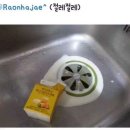 허니크림