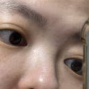 화수육계 이미지