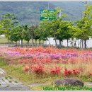 참좋은연합의원 이미지