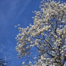 천호1동공영주차장 화장실 이미지