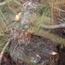 무곡농장 이미지