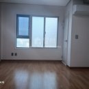 제니텔 네이버블로그