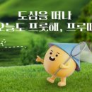 세왕농장 네이버블로그