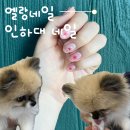 엘랑네일 - 미추홀구 낙섬서로18번길 27-25 | 엘랑네일