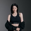 세르지오 타키니 카카오 검색결과