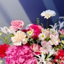 자뎅드로즈