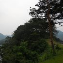 영동낚시