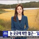 논밭에 자꾸 CCTV를 세우는 이유.jpg 이미지