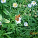 인천대공원(정문) 이미지