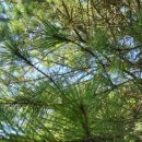 척주농장 이미지