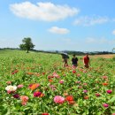 공음농장 이미지