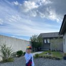 위요감 | 🍁 청도 감성 숙소 추천｜일본 온천 감성 그대로, 가족여행에 좋았던 위요감 후기