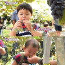 민국농장 이미지