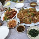 아기자기 반려 동물 옷 만들기 이미지