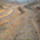 우평농장 이미지