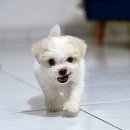 혼돈 이미지