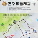 산수유 연인의길 이미지