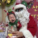 먹돌이 | <키위 로그> 먹돌이가 된 키위의 겨울 나기 (10M)