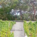 월드컵게임랜드 | 주말일상 팔공산여행,술한잔, 사찰, 카페